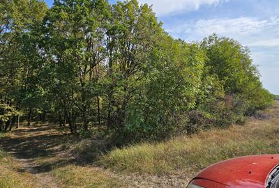 Teren Construcții intravilan de 1700 mp, în Central