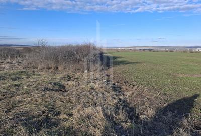 Teren Intravilan de Vânzare – 4300 mp – Cristian, zona Aeroport - 2