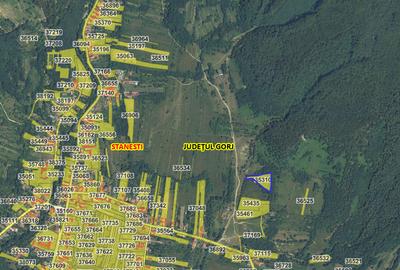 Teren extravilan de vânzare – Stănești, 3.861 mp, livadă de cireși - 6