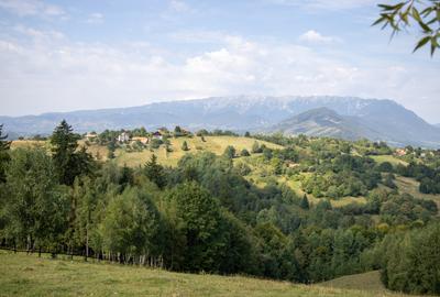 Comision0% Investitie turistica unica - Bran Sohodol 10131mp-Via Transilvanica - 2