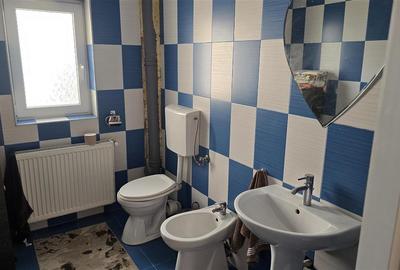 Casa si Spatiu Comercial Luncusoara Suceava De Vanzare - 11