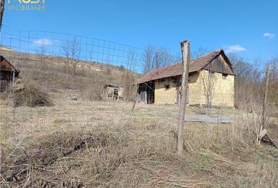 Casa individuala l Teren 2698 MP l Hagau - 5