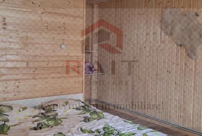 Casa Vacanta Rucar Saticu de Jos Arges - 22