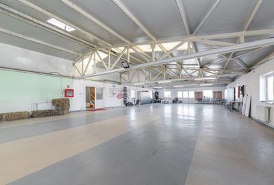 Platformă industrială cu 2 hale și sediu administrativ – teren 3.871 m - 58