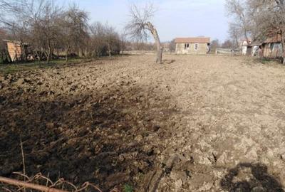 RECO Casa in Ghiorac , com. Ciumeghiu la 16km de Salonta - 4