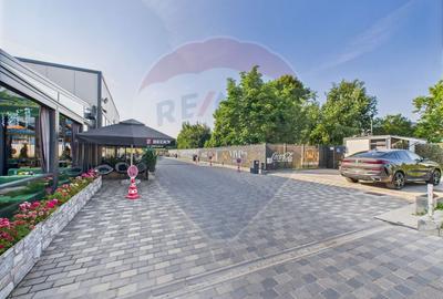 Imobil comercial, Restaurant si Spalatorie auto, Dedeman, Slobozia - 24