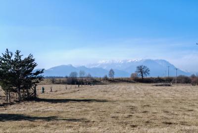 Casă în Râșnov - Glăjărie, vedere spre Piatra Craiului și Bucegi. - 2