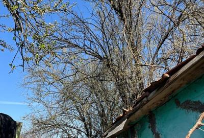 Proprietar, vând teren intravilan 997 mp, MEHALA, str. MOISE DOBOȘAN, preț NEGOC - 4