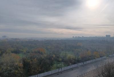 Primul chirias, Vedere superba asupra Parcului Natural Vacaresti - 1