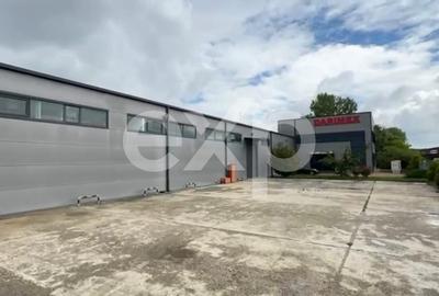 Hub Logistic Premium Otopeni – Centură: Hală 1.500 mp + Birouri 700 mp - 5