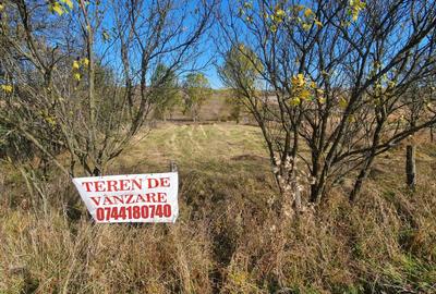 Teren intravilan cu CF - Salistea Veche - 3