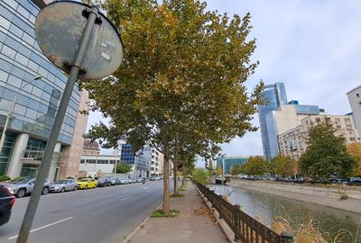 TEREN AMPLASAT IDEAL-  SPLAIUL UNIRII  -CAMERA DE INDUSTRIE - PASAJ MARASESTI - 16