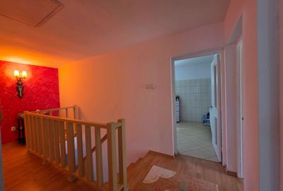Casa-Vila/chiar lângă pensiunea Amara - 33