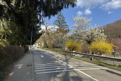 Teren cu potential investitional – Sovata, zona Lacul Ursu - 9