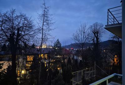 Ultracentral, apartament in casa, pretabil locuit / birouri, pet friendly. - 1