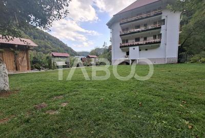 Spatiu de vanzare in Valea Macesului judel Valcea iesire la Lotru - 30