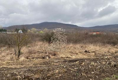 Teren 12,719 mp cu deschidere la DN17-ideal hala/parcare-Crainimat - 3
