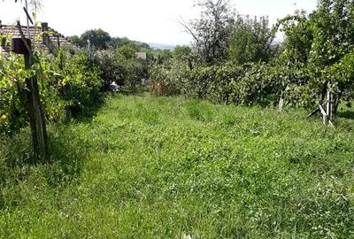 Casă independentă de vânzare - 9