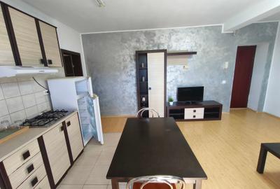 Dumbravita 2 camere 350 euro - 3