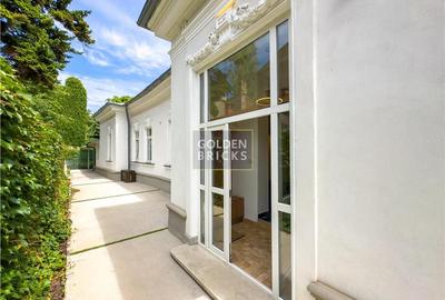 Vilă elegantă | Unirii Udriste | Piața Sf. Ștefan | Curte pr - 19