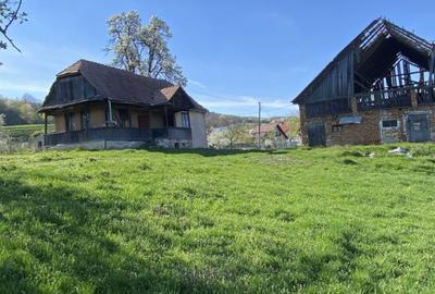 Teren cu casa demolabila Valea Chintaului 2000 mp extravilan - 1