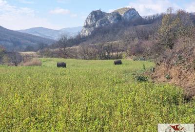 Teren de vanzare in Ampoita - 1