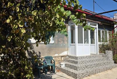 Casă S+P, curte 267mp - 3