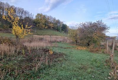 Teren intravilan imprejmuit la intrare in Curtesti - 3