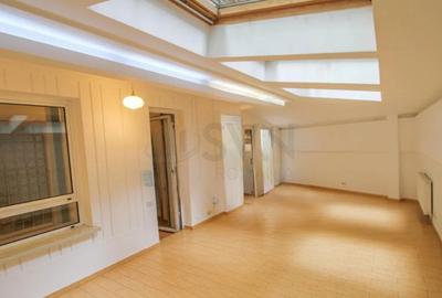 Casă individuală cu 22 camere în Primăverii