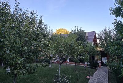 Moreni , Dambovita , vanzare proprietate -casa si teren - 24