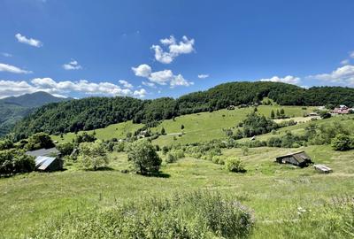 Teren cu vedere panoramică de vânzare | Podu Dâmboviței, Comuna Dâmbovicioara - 6