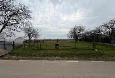 Teren intravilan 1.308mp + 3.008mp extravilan in Urechesti de vanzare - 5