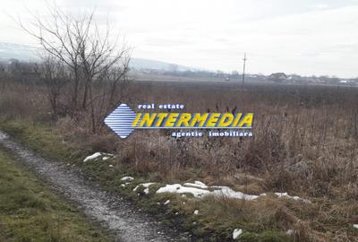 Teren  pentru cabana de vanzare 500 mp Alba Iulia - 4