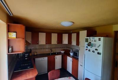 CASA DE 263MP, TEREN DE 8142M2 IN OARDA DE SUS LA 350.000, NEGOCIABIL - 6