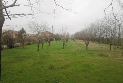 Teren Intravilan Techirghiol 4350mp - 4