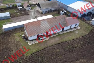 Hală industrială de vânzare în Cernat! - 3