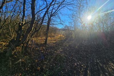 Teren intravilan 2.000 mp – Seciu, 2 deschideri, Priveliște panoramica - 16