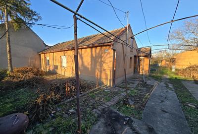 Fratelia- Casa si teren- 1438 mp - 1