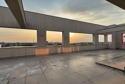 Oportunitate Unică Penthouse 4 Camere Grozavesti 322MP + 197 MP TERASA - 13