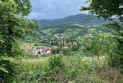 Teren intravilan 5360mp Bistrita Nasaud | Tiha Bârgăului - 4