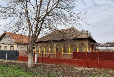 Casa de vanzare in Teremia mare - 5