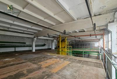 Spațiu industrial versatil, Platforma Upruc, Făgăraș - 16