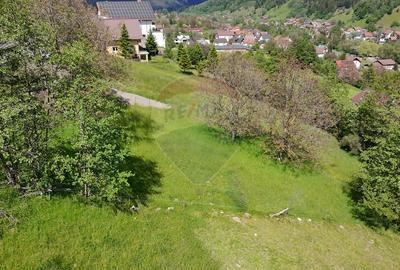 Teren intravilan |Moieciu de Jos| str. Principala| - 5