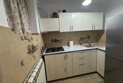 Închiriez apartament superb, 2 camere, Piața Unirii - 6
