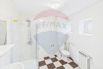 Duplex spatios de inchiriat - Tineretului - 7