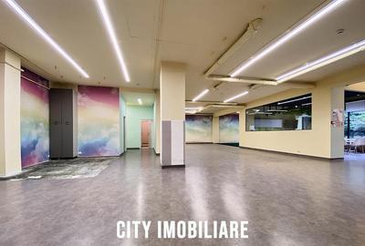 Spatiu comercial 250 mp + terasa 70 mp, Grigorescu, Parter, Ideal HoReCa   Showr - 12