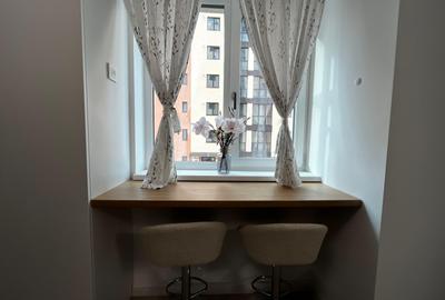 Apartament de inchiriat, o camera, Open space, 35 mp, Lunca Cetatuii - 13