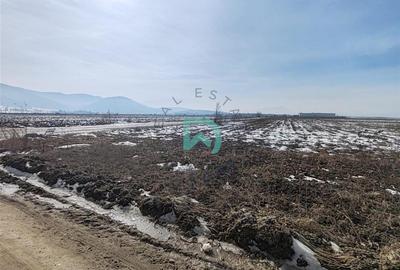 Vanzare teren intravila industrial, 10480 mp, centura Brasov - 3