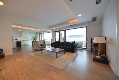 Borgo Guicciardini - 3 camere de inchiriat Parc Herastrau - 1