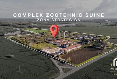 De vanzare Complex Zootehnic Suine Jud. Arad SU 15.30ha, Ferma, Grajd - 2